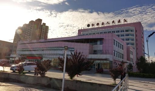 최신 회사 사례 신장 헤징 카운티 사람들의 병원